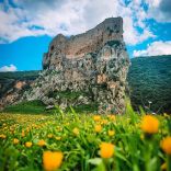 Msayelha Castle